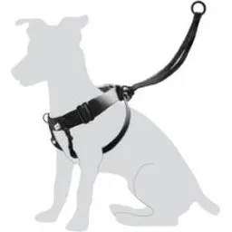 Flamingo Harnais Easy Walker L Noir