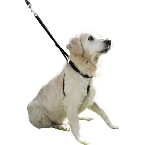 Kerbl Harnais Maxi Leader 3 Noir