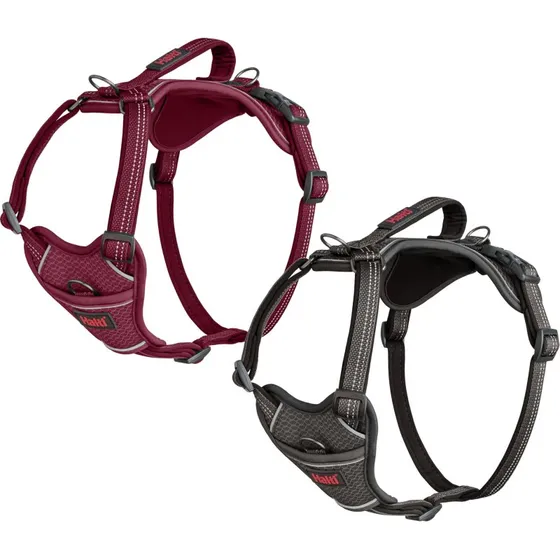 Halti Anatomy Harness - Harnais anatomique pour chien