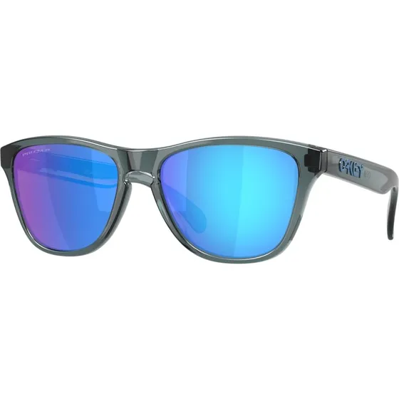 Oakley Frogskins S OO9508 Lunettes de Soleil Polarisées Noir/Bleu