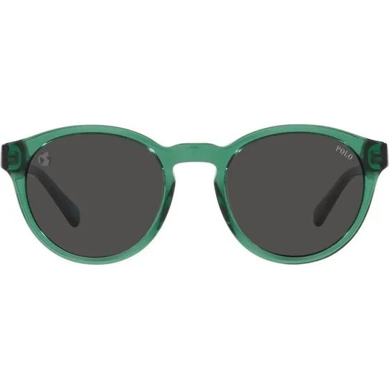 Polo Ralph Lauren PH 4192 Lunettes de Soleil Homme Vert Rondes