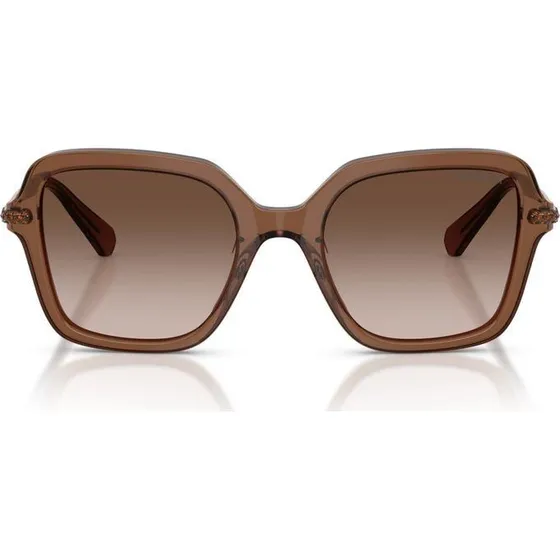 Swarovski Lunettes de Soleil SK 6040 Marron Géométriques