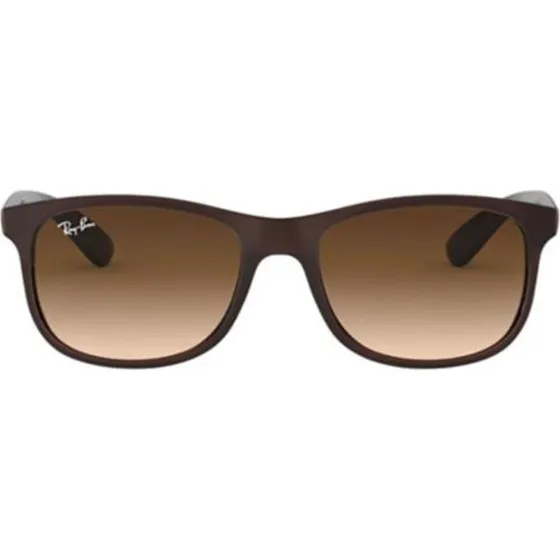 Ray-Ban Andy RB 4202 Lunettes de Soleil Carrées Marron Unisexe