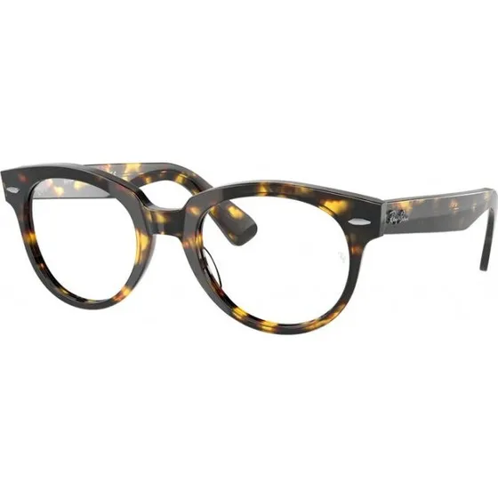 Ray-Ban RX2199V 8116 Montures Optiques Pantos Havana
