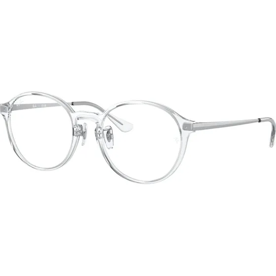 Ray-Ban RX7178D 2001 Montures Optiques Pantos Transparentes