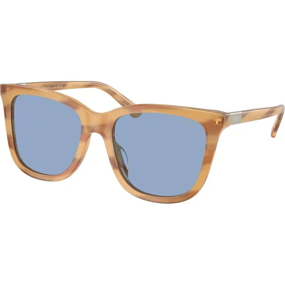 Polo Ralph Lauren PH4201U Lunettes de Soleil Carrées Havane et Bleu