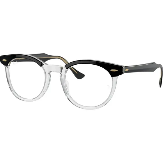 Ray-Ban RX5598 Eagleeye 2034 - Montures Optiques Carrées en Acétate Noir