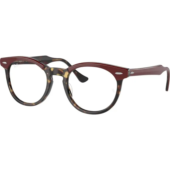 Ray-Ban RX5598 Eagle Eye Montures Optiques Carrées Écaille