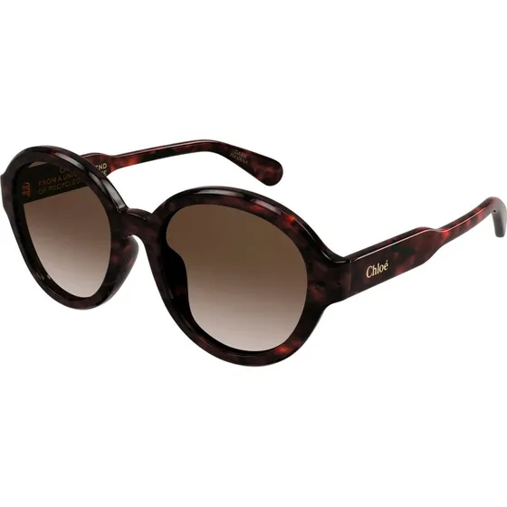 Chloé Lunettes de Soleil CH0156SK 002 Pantos Havane Marron