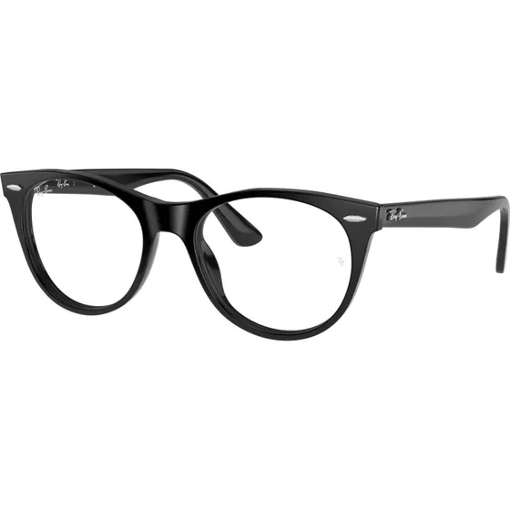Ray-Ban RX2185V 2000 Montures Optiques Pantos Noires