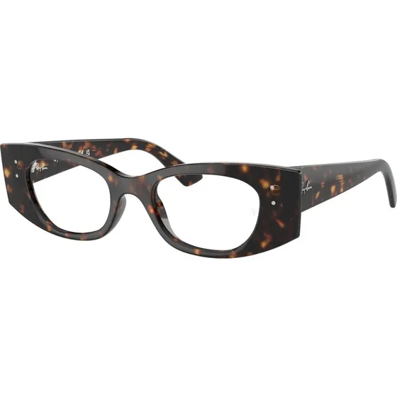 Ray-Ban RX7327 KAT 8320 Montures Optiques Géométriques Écailles