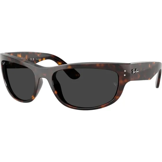 Ray-Ban RB2289 Mega Balorama Lunettes de Soleil Polarisées Écaille