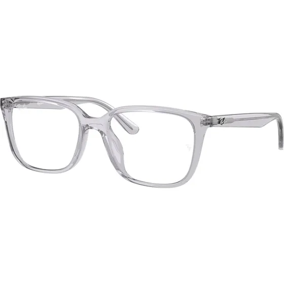 Ray-Ban RX7248D 8411 Montures Optiques Carrées en Acétate Gris