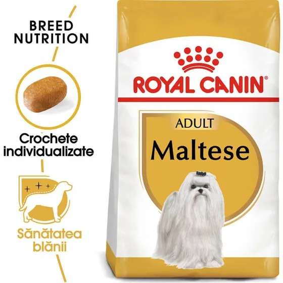 ROYAL CANIN Maltese Adult - Nourriture sèche pour chien, 1,5 kg