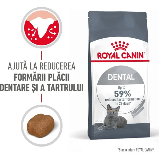 Royal Canin Dental Care Croquettes Chat, 400 g