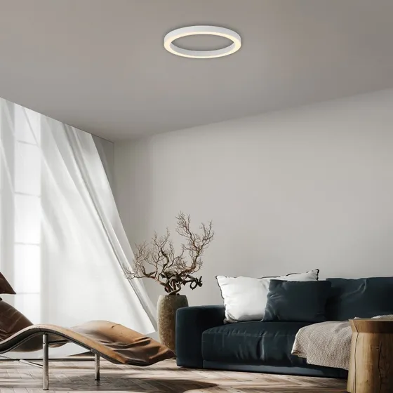 Paul Neuhaus PURE Lines - Plafonnier LED Rond Ø 50 cm, Blanc CCT