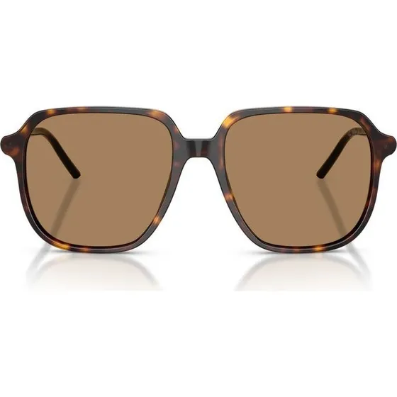 Moncler Lunettes de Soleil Cylin ME6010 Unisexe Havane Carrées