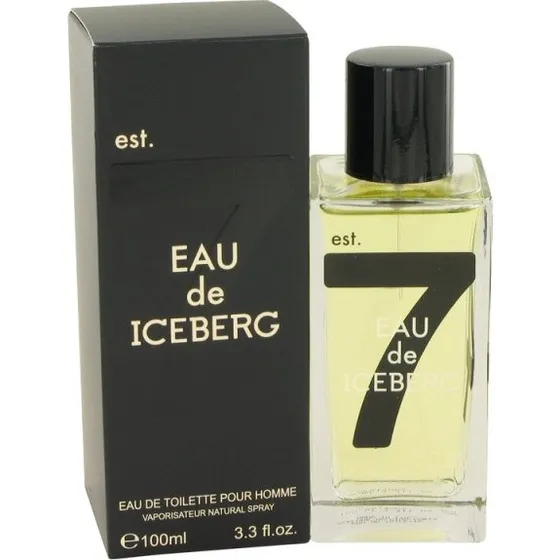 Iceberg Eau de Iceberg Pour Homme 100 ml
