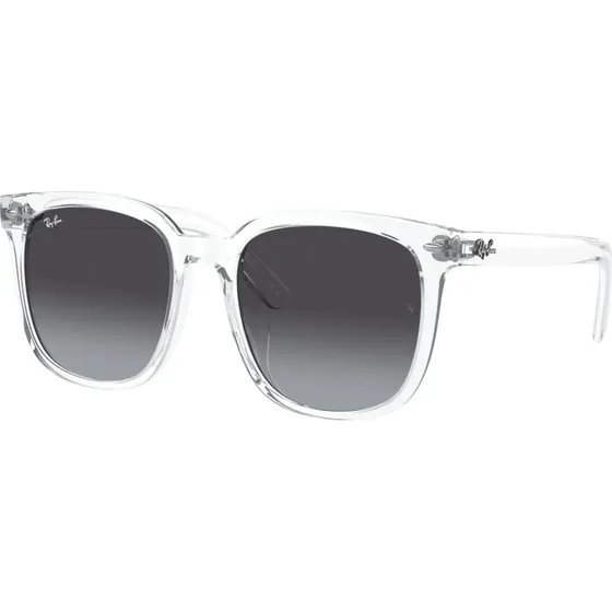 Ray-Ban RB4401D 64478G Lunettes de Soleil Transparent Gris