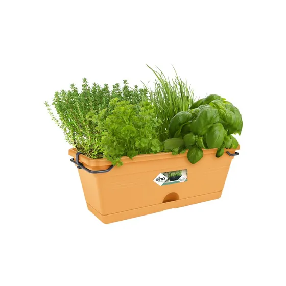 Elho Greenbasics Balcon Mini 2en1 30 cm Terre Cuite Doux