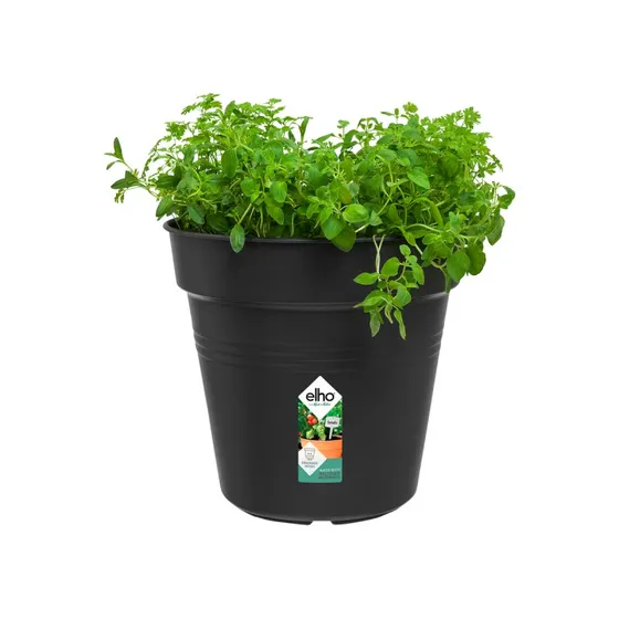Elho Green Basics Pot de culture 24 cm noir