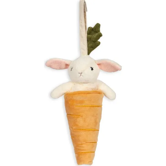 Activity Carrot - Buttercup Orange