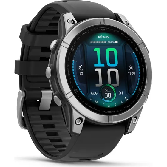 Garmin Fenix E 47mm Acier Inoxydable Bracelet Gris