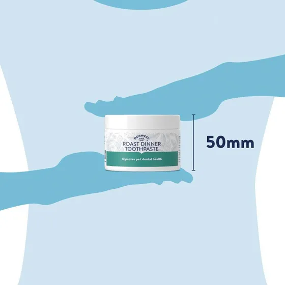 Dorwest Dentifrice à la Sauge 200g