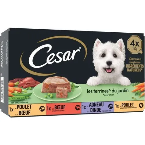 CESAR Terrine Traiteur 4 Variétés 4x150g pour Chien