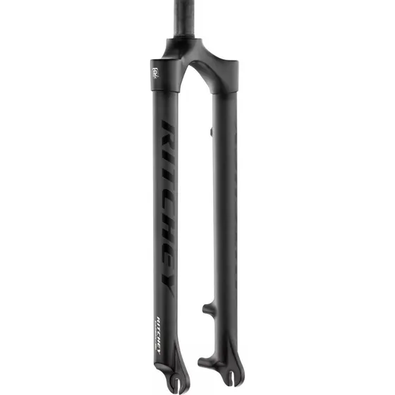WCS Fourche Carbone 29 Pouces Mat Noir 100mm