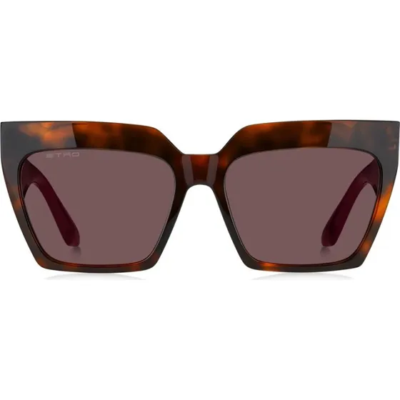 Etro Lunettes de Soleil Etro 0001/S Havane et Verres Violets