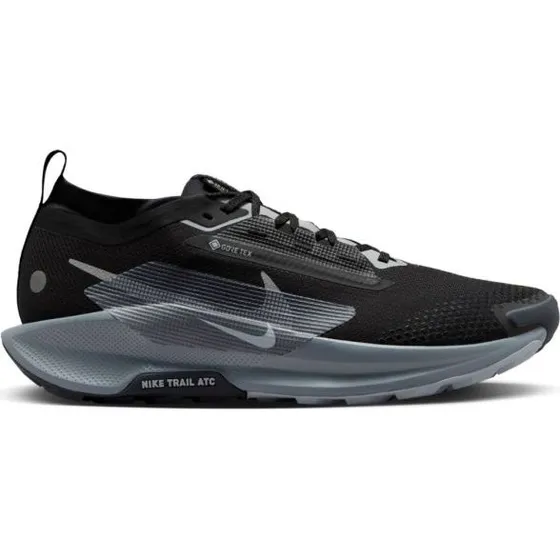 Nike Pegasus Trail 5 Gore-Tex Noir Homme