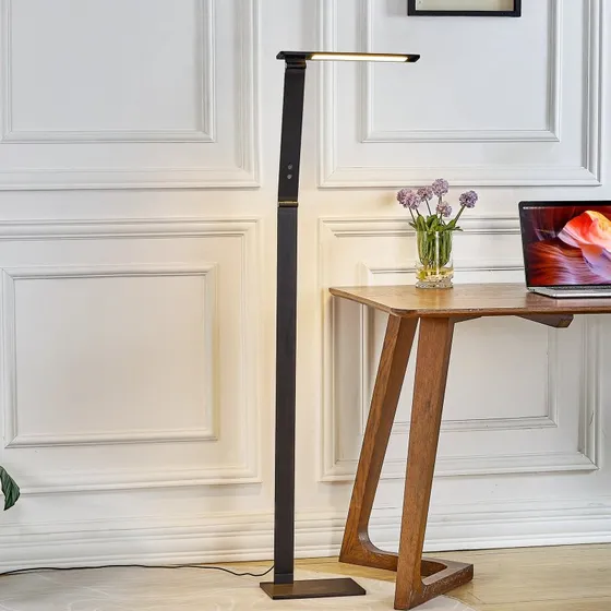 Lucande Lampadaire LED Salome Dimmable Noir - Couleur Réglable