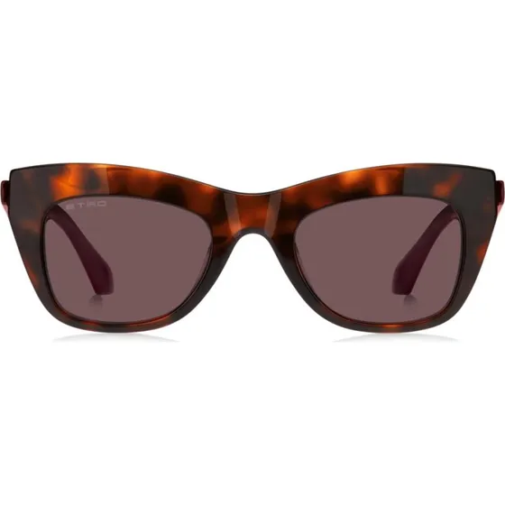 Etro Lunettes de Soleil Papillon Etro 0004/G/S Havane et Violet