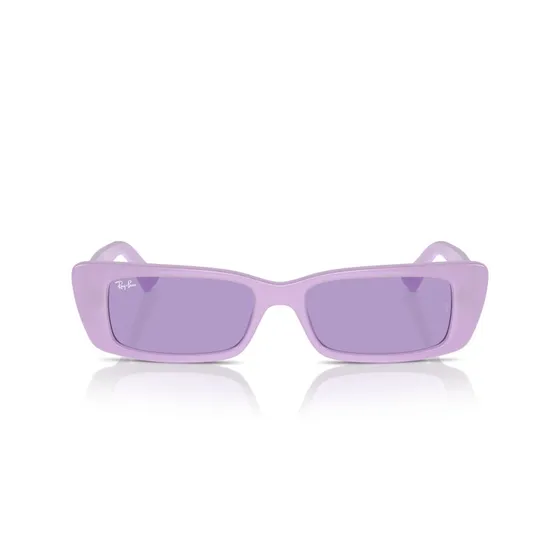 Ray-Ban Teru RB4425 Violet Lunettes de Soleil