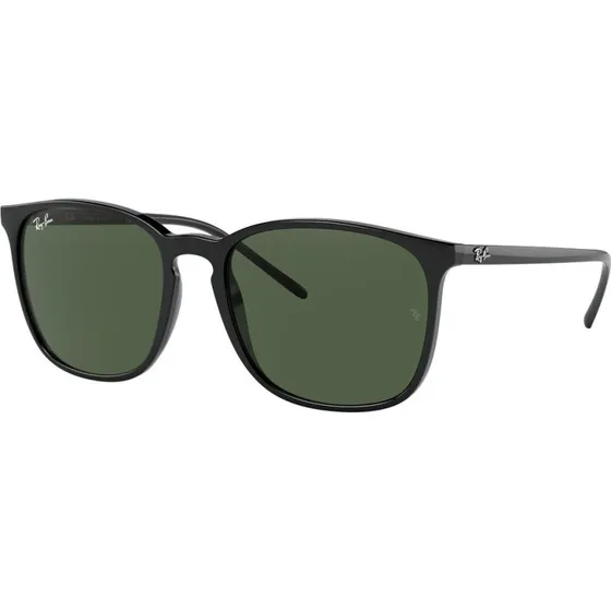 Ray-Ban RB4387 Lunettes de Soleil Noire Verre Vert G-15 56