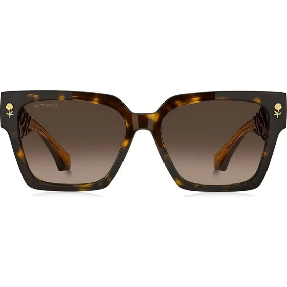 Etro 0128/S Lunettes de Soleil Oversize Havana Marron