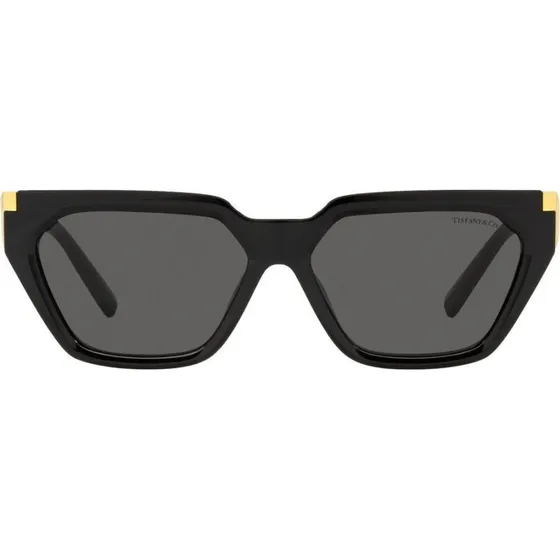Tiffany & Co. TF 4205U Lunettes de Soleil Géométriques Noires et Grises