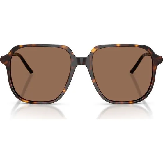 Moncler Cylin ME6010 Lunettes de Soleil Carrées Havane