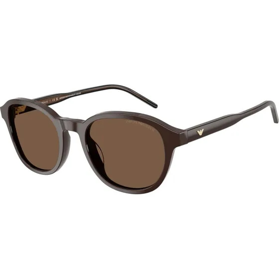 Emporio Armani EA4247U Lunettes de Soleil Pantos Marron Homme