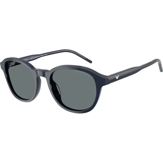 Emporio Armani EA4247U Lunettes de soleil Pantos Bleu pour Homme