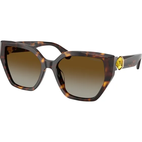 Swarovski SK6044U 1002T5 Lunettes de soleil Géométriques Polarisées