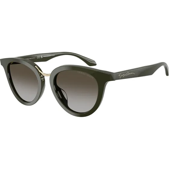 Giorgio Armani AR8252U Lunettes de Soleil Rondes Vert et Gris