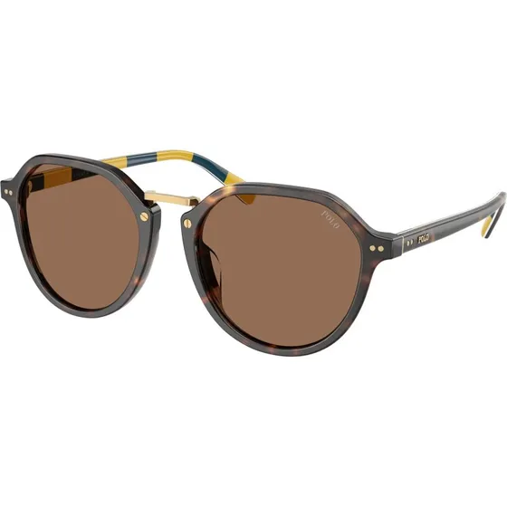 Polo Ralph Lauren PH4223U Lunettes de Soleil Pantos Écaillé Marron