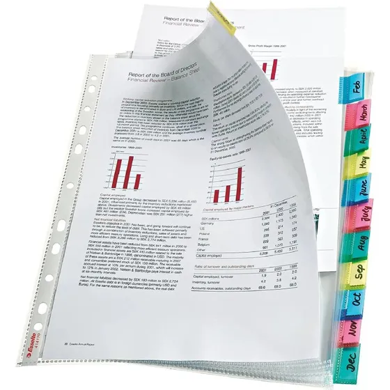 Esselte Pochette Perfore A4 11 Trous Transparente