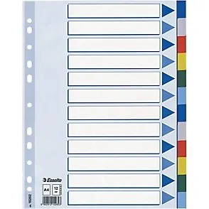 Esselte 2 jeux intercalaires A4 12 onglets multicolores renforcs