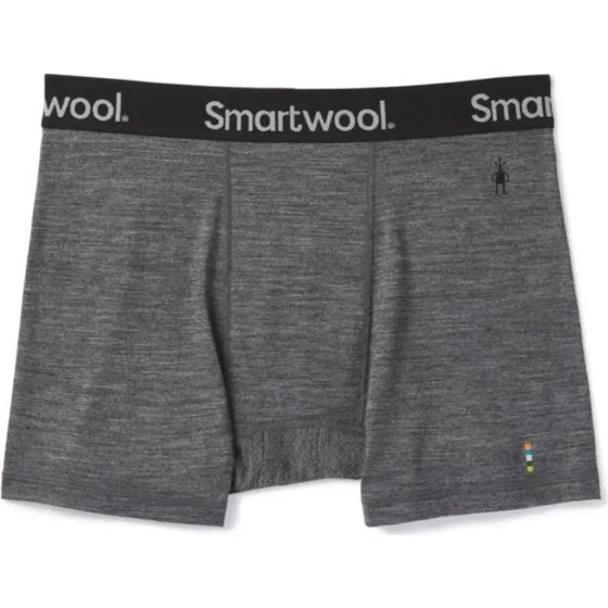 Smartwool Boxer en mérinos Active pour Homme