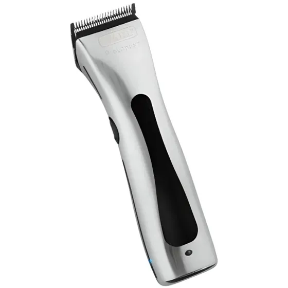 Wahl Tondeuse de Finition Beret Acier Brossé