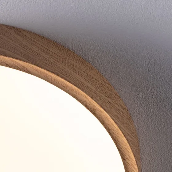 Paulmann Plafonnier LED Tega IP44 Blanc/Bois