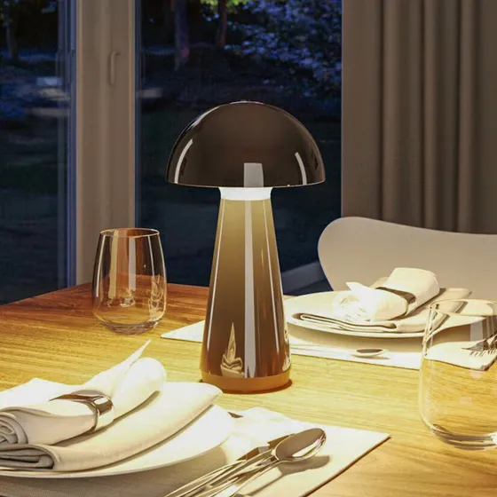 Paulmann Onzo Lampe de Table LED Rechargeable Noir IP44